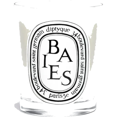 Diptyque Baies Candle