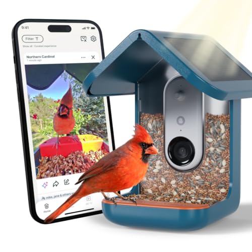 Birdbuddy Smart Bird Feeder Pro Solar